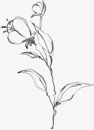 水墨植物元素18免抠动植物植物元素