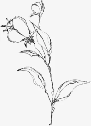 水墨植物元素18免抠动植物植物元素