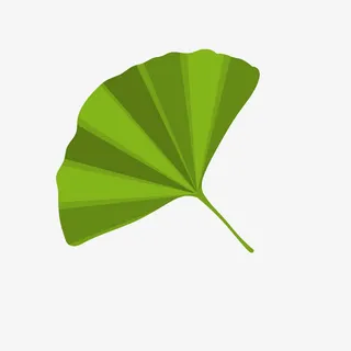 扇形银杏叶免抠