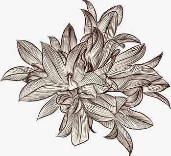 花草背景 花草背景