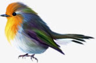 小鸟红色小鸟动物免抠