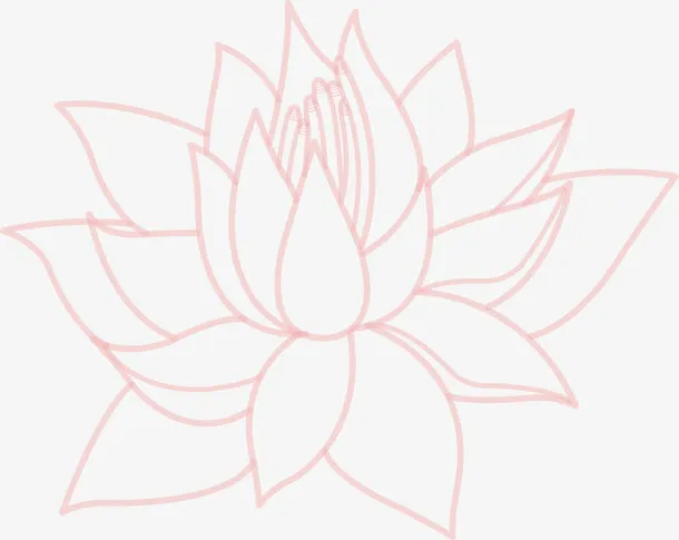 粉色线条荷花免抠