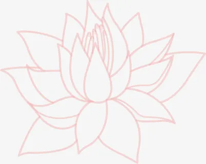 粉色线条荷花免抠