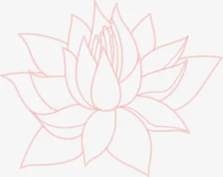 粉色线条荷花免抠