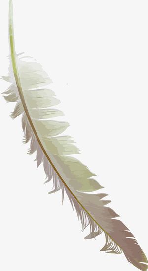 梦幻羽毛矢量素材免抠