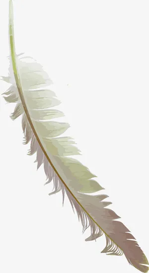 梦幻羽毛矢量素材免抠 梦幻羽毛矢量素材免抠