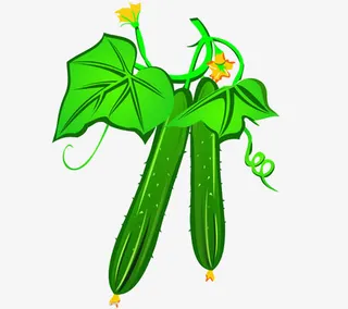 黄瓜漫画图免抠