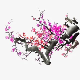 手绘水墨梅花免抠