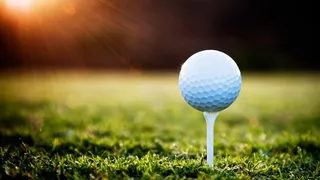 草地,背景,png,素材高清