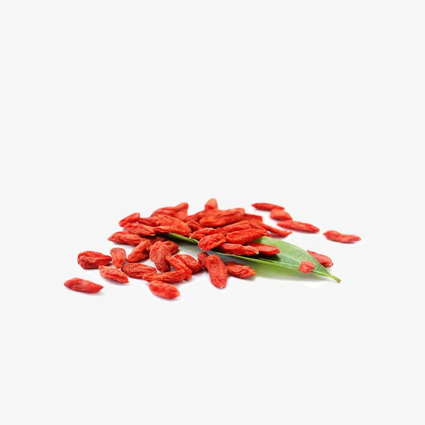 枸杞  花茶  绿色 红枸杞免抠