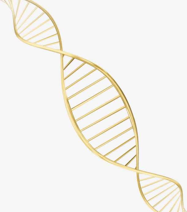 DNA 螺旋纹免抠