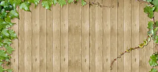 春天木质纹理棕色banner背景高清