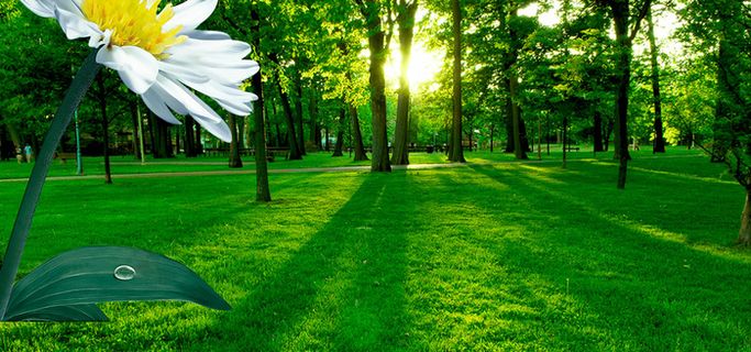 唯美小清新背景高清文艺清新背景