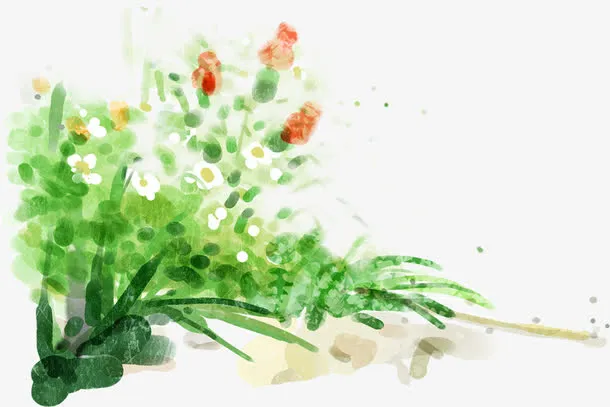 手绘春季草丛植物免抠