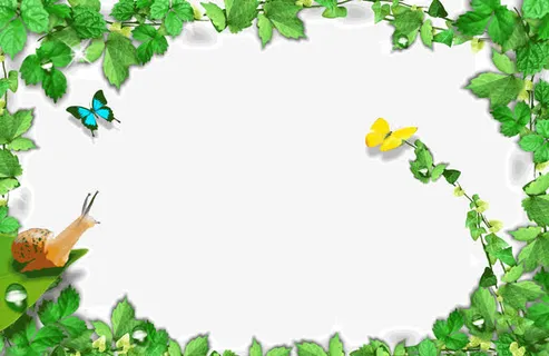 绿色 春天 边框 背景元素