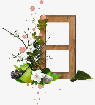 日字简约边框免抠