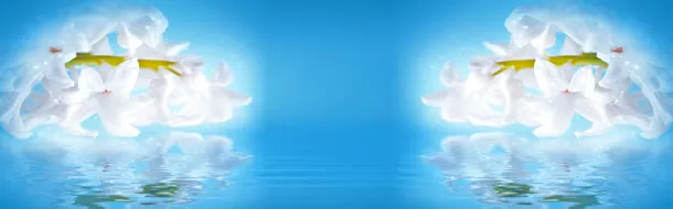 清新淘宝海报背景