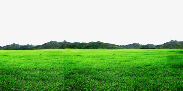 绿色草地边框纹理免抠