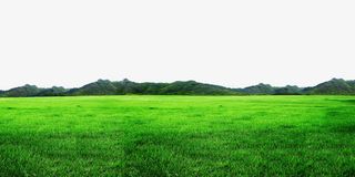 绿色草地边框纹理免抠