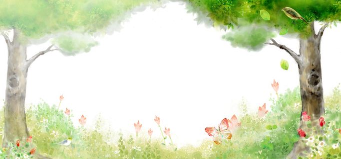 森林的春天高清