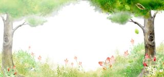 森林的春天高清