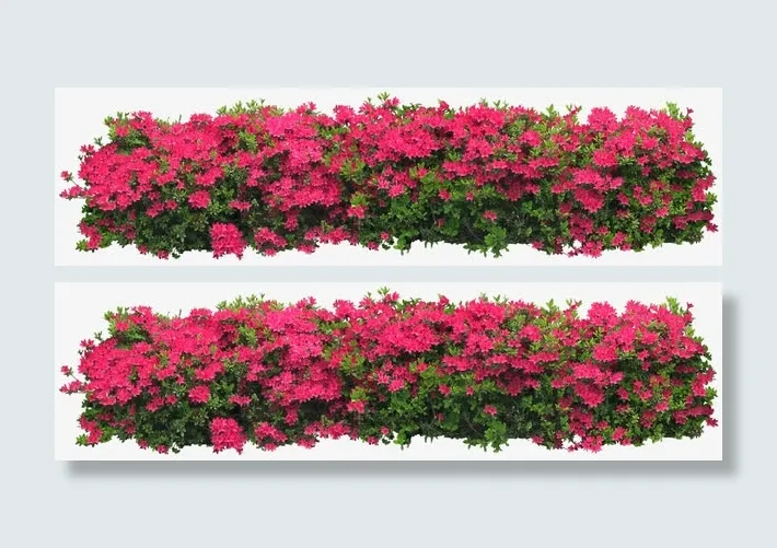 花朵海报背景卡通鲜花素材 装饰