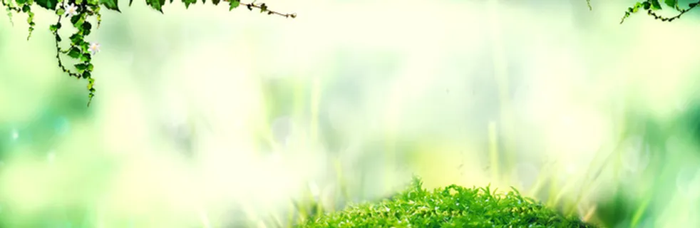 春天文艺踏青景色渲染绿色banner高清