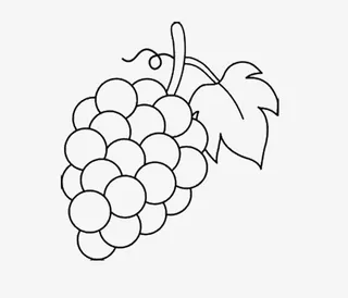无色可爱葡萄简笔画免抠