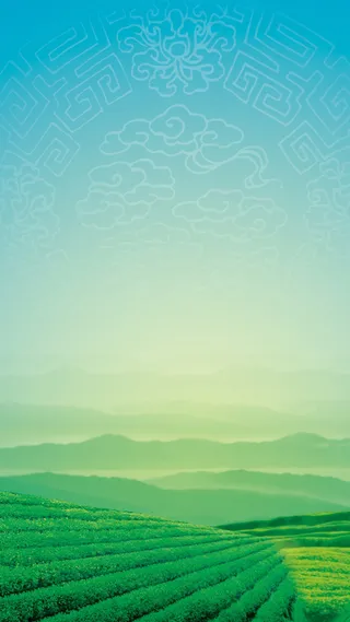 茶道背景图片素材H5背景高清