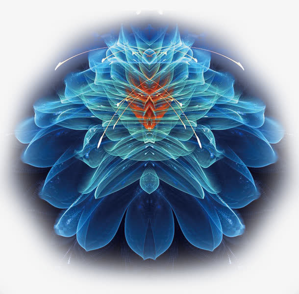 鲜花免抠