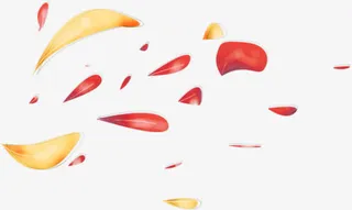 多色花瓣手绘漂浮免抠