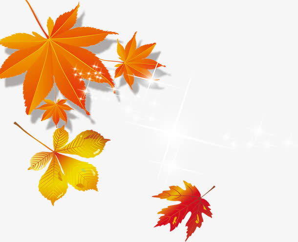 秋天的枫叶免抠