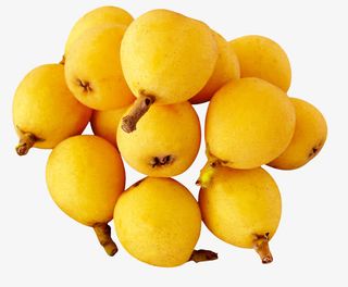 琵琶实物图免抠