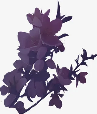 花-花瓣免扣png素材免抠