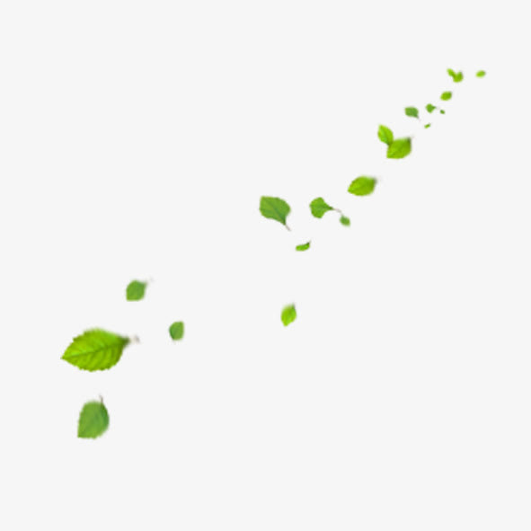 漂浮树叶免抠