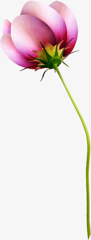 春天紫色手绘花朵设计免抠