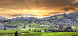 法国葡萄酒庄园背景高清