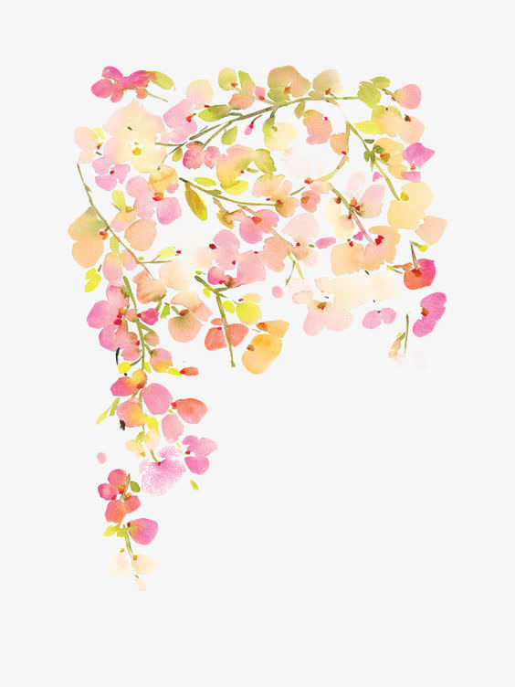 花卉装饰免抠