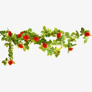 绿色藤蔓红色花朵装饰素材免抠