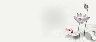 中国风荷花金鱼背景高清