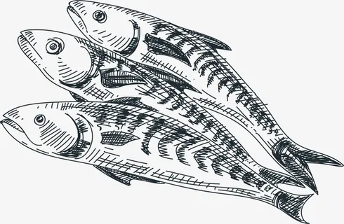 黑色的手绘小鱼干免抠