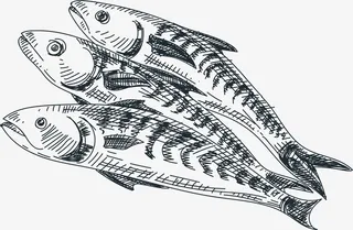 黑色的手绘小鱼干免抠