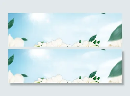 蓝天绿叶花朵春天高清