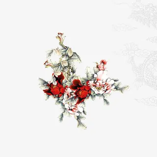 牡丹免抠 牡丹免抠