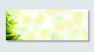 春天风景背景图春天风景背景图高清