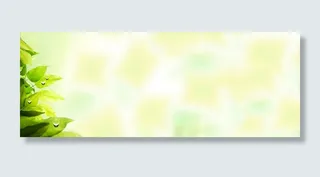 春天风景背景图春天风景背景图高清