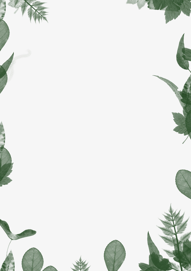 绿叶边框ins免抠