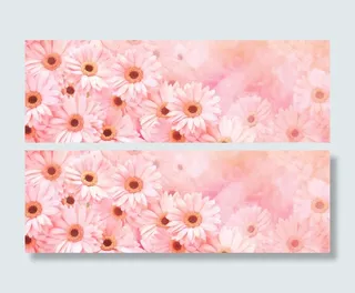 唯美菊花浪漫banner壁纸