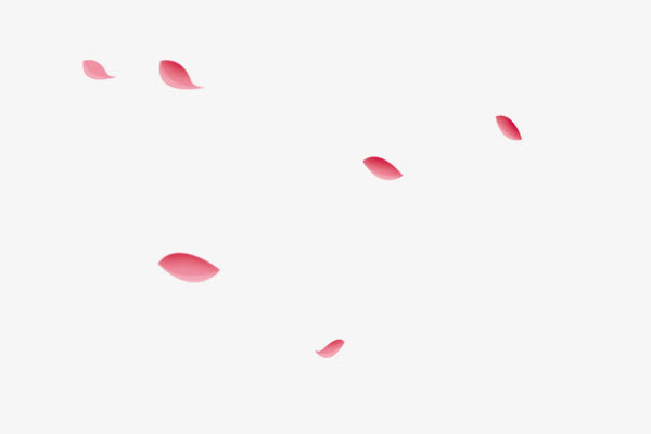 粉色花瓣飞舞唯美素材免抠