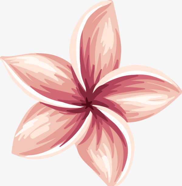 花瓣免抠